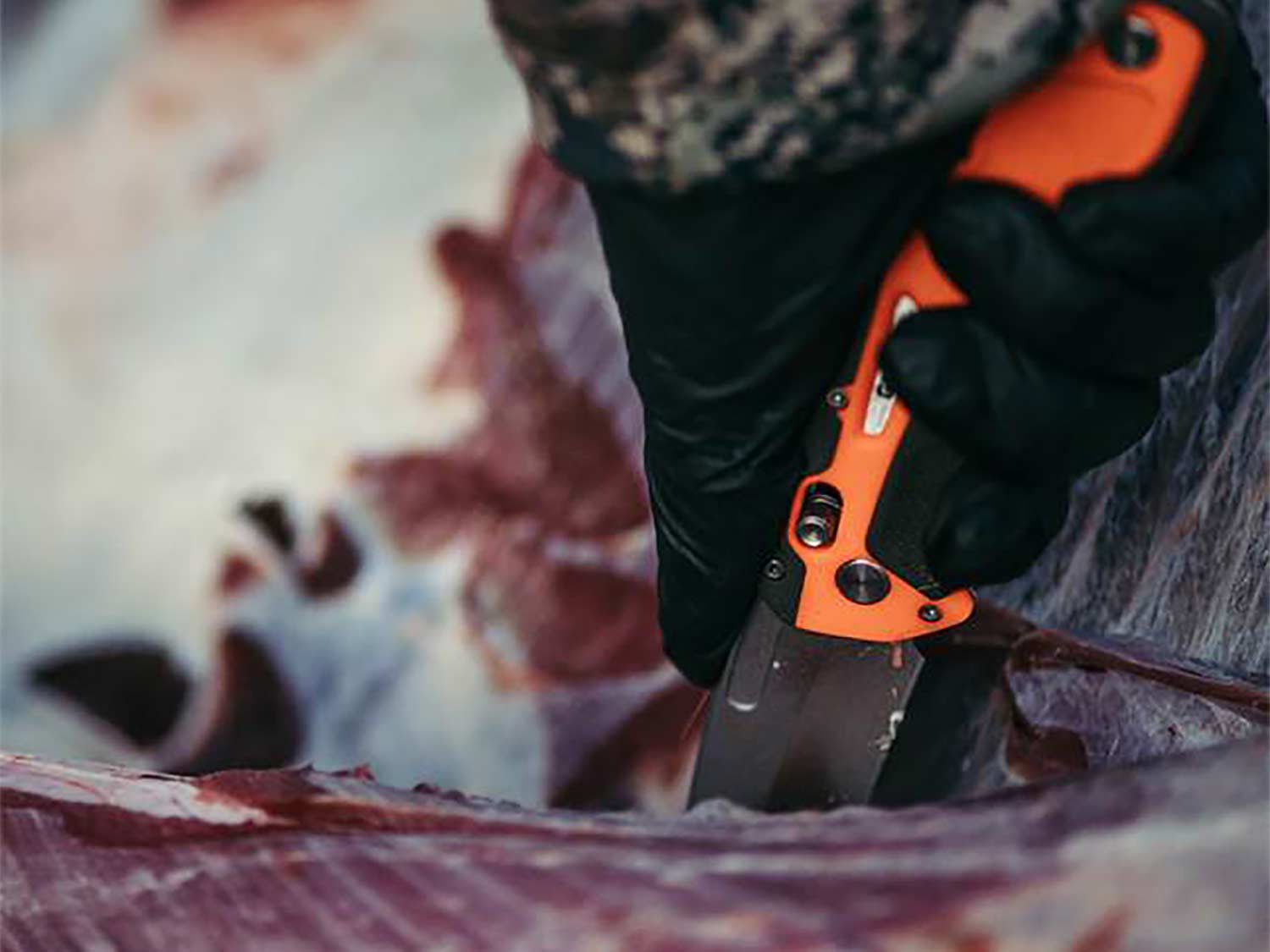 How to Keep Game Meat from Spoiling in Hot Weather