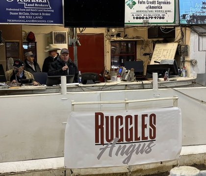 Ruggles Angus 10th Annual Production Sale