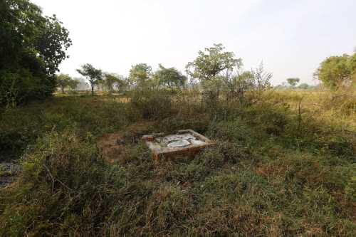 What Panel Data Tell us About Toilets in India