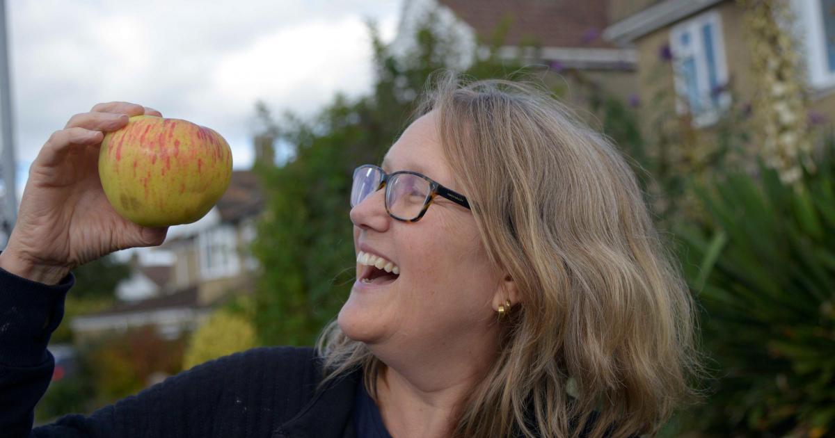 Mountains of fruit celebrated at festival this month