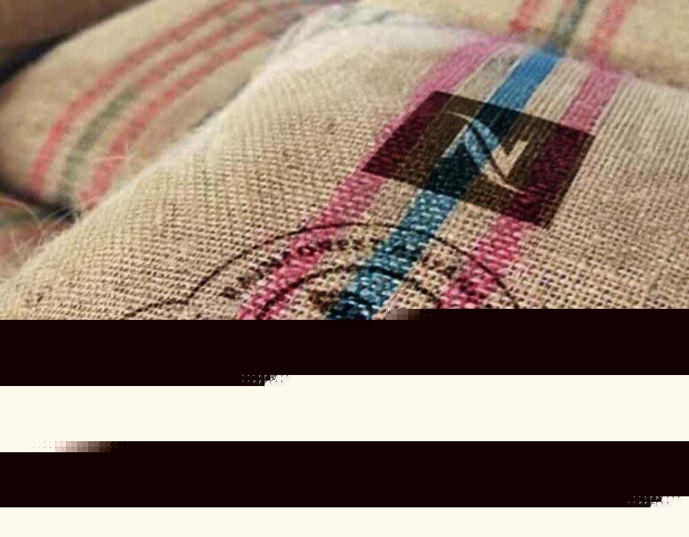 Nespresso primește certificarea Rainforest Alliance pentru cafeaua provenită din agricultură regenerativă