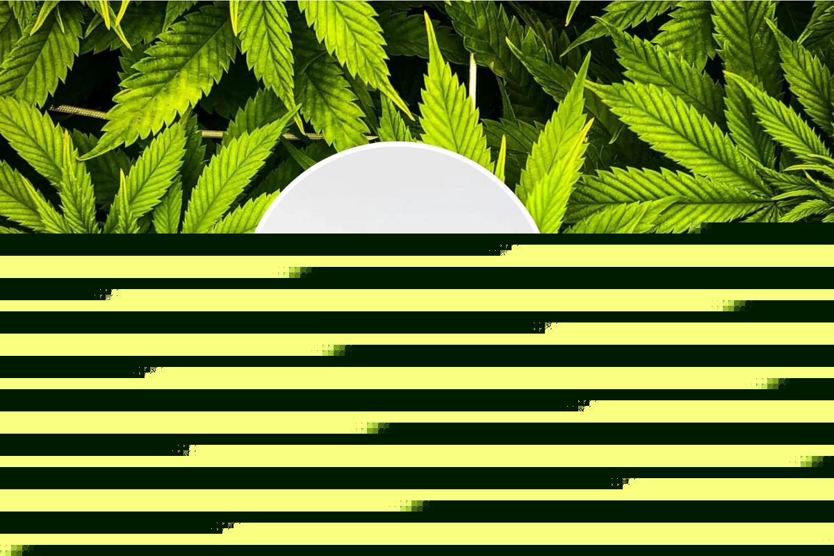 Texas THC Laws Weaponize Reefer Madness