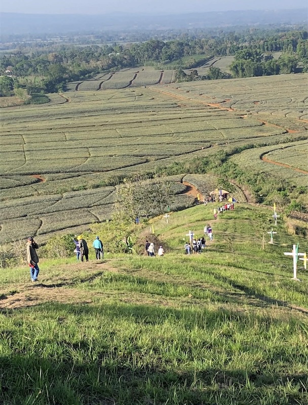 INTEGRAL ECOLOGY: The Coupling of Ecological Destruction and Labor Exploitation