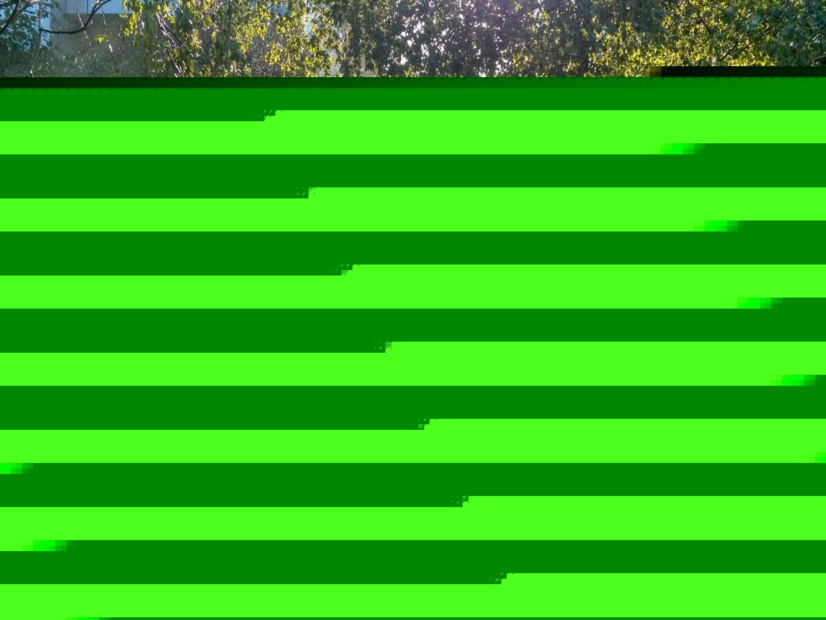 The Tuna Can Trick That Tells You When To Stop Watering
