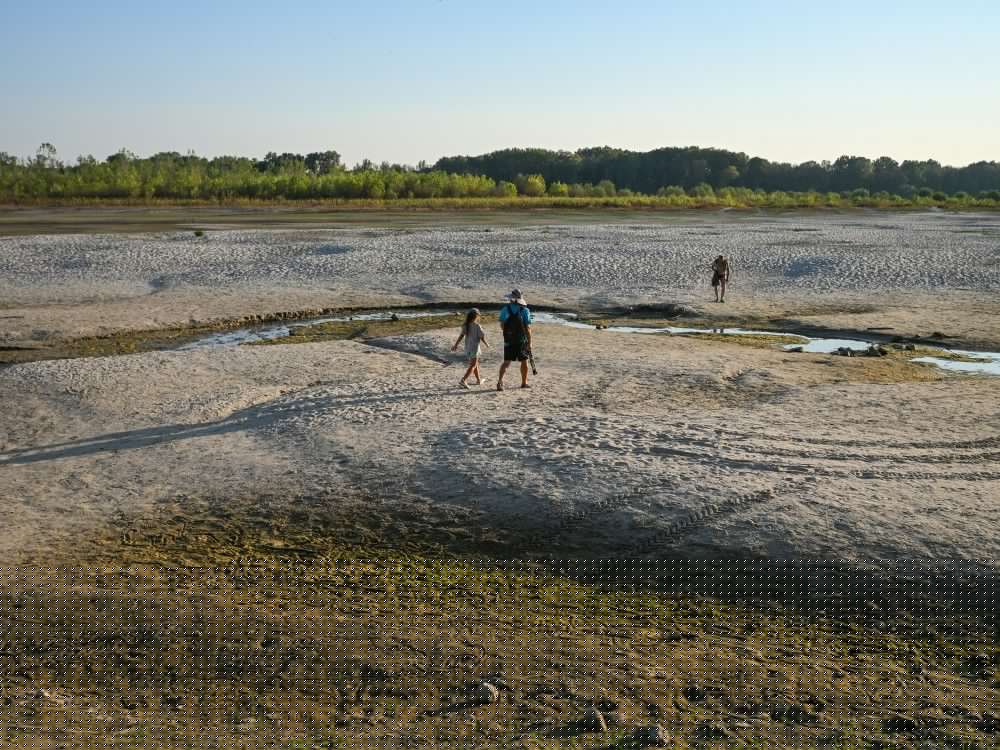 Nazi warships, human remains surface as record heat dries up Danube River