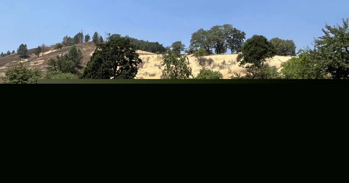 Roseburg City Council will explore potentially creating homeless urban campgrounds