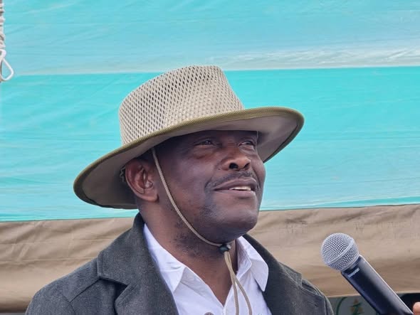REA Completes Luwingu’s K19.4 million  Grid Extension
