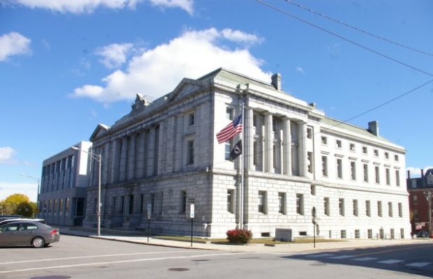 Maine Man Pleads Guilty to Trafficking Whale, Bird Parts