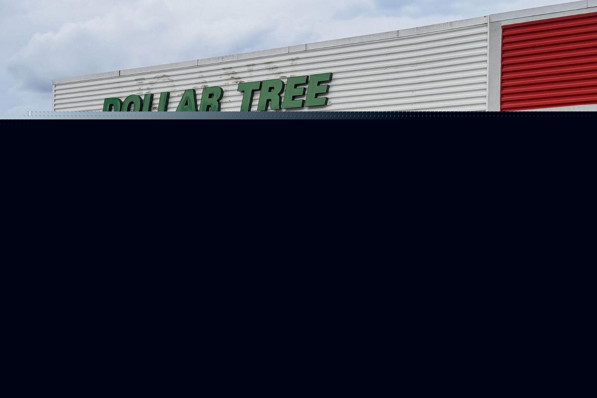 New Dollar Tree Opens In Popular Ulster County Plaza
