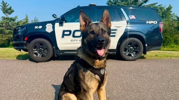 Hermantown Police K-9 Kylo receives donation of ballistic vest