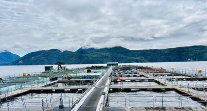 Mowi loses appeal over Discovery Islands salmon farm removals