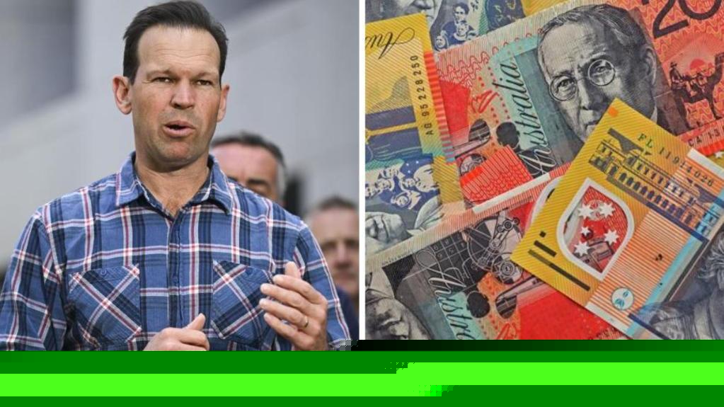 RBA’s expected holding of cash rate no comfort to ‘anxious’ Australians: Canavan