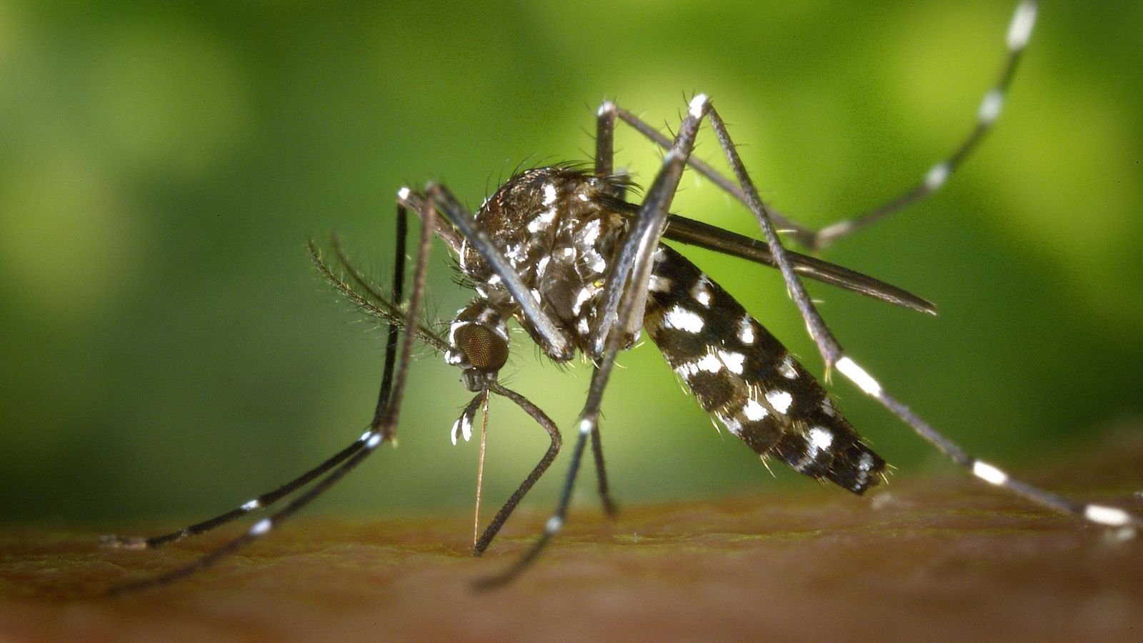 Breather for Mumbai as city sees a decline in Malaria, other monsoon-related diseases last month