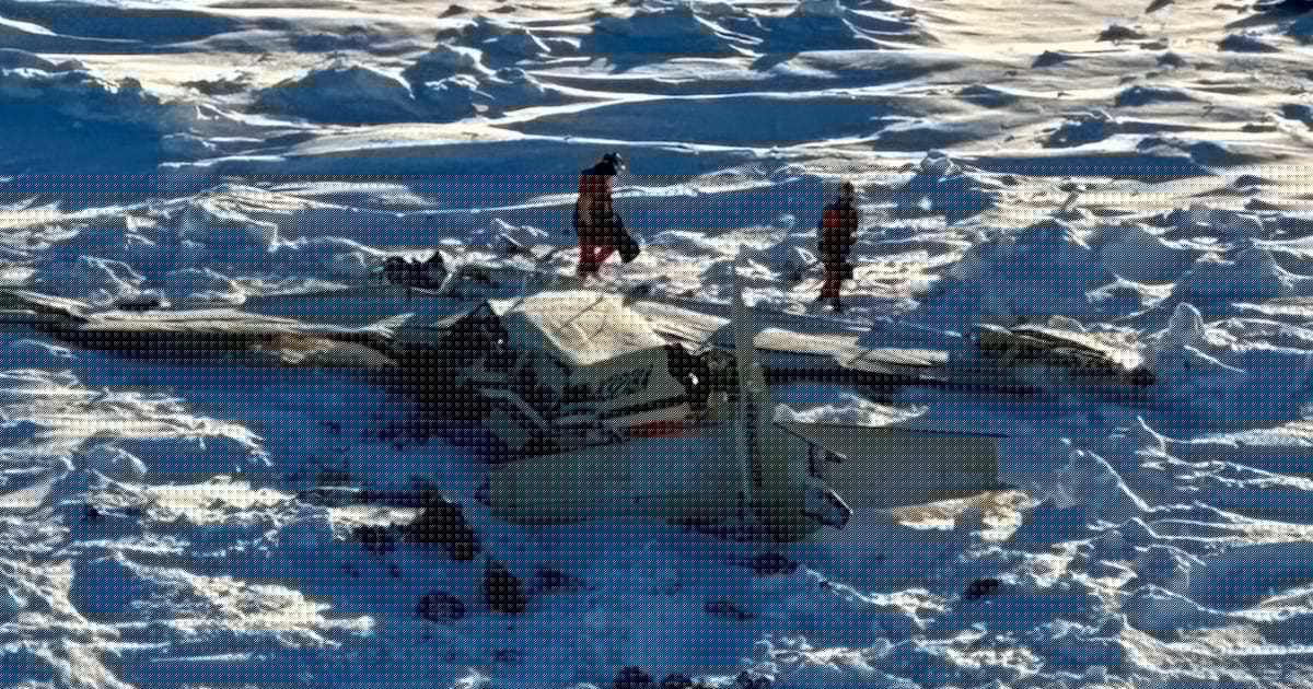 Disturbing Cause of Plane Crash That Killed 10 Revealed