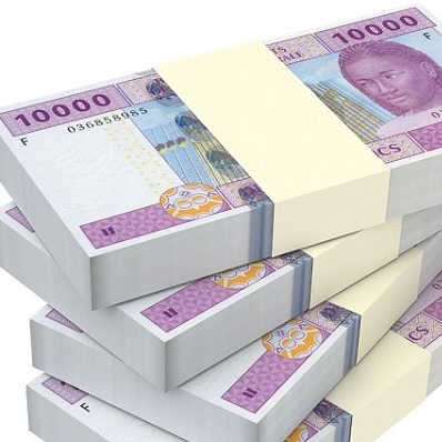 CAMEROUN :: Sortir du franc CFA : la solution panafricaniste de Jean-René Ndouma pour la CEMAC :: CAMEROON