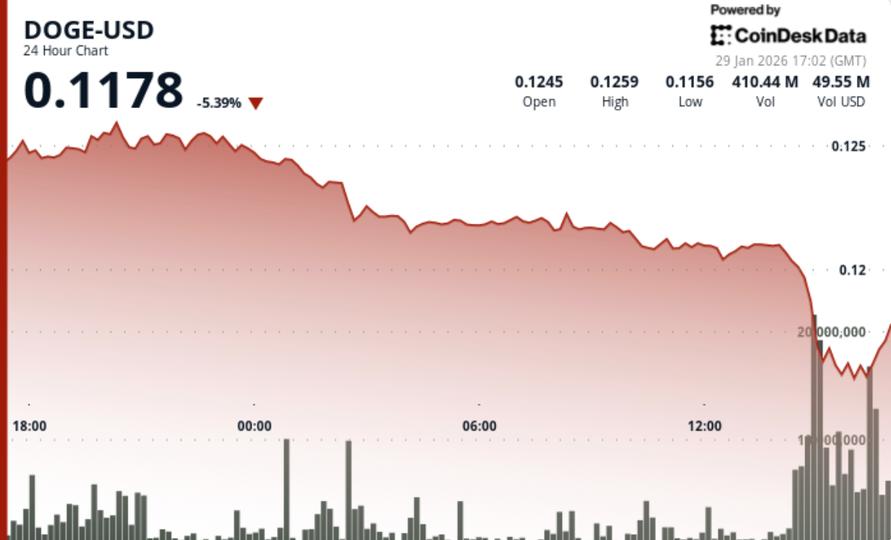 Dogecoin slumps 7% as bitcoin risk-off rattles memecoin bets