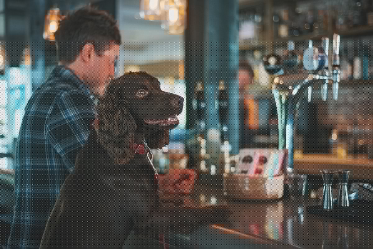 Pints 4 Paws Lets You Meet Adoptable Dogs Over Beer, Pizza And Music