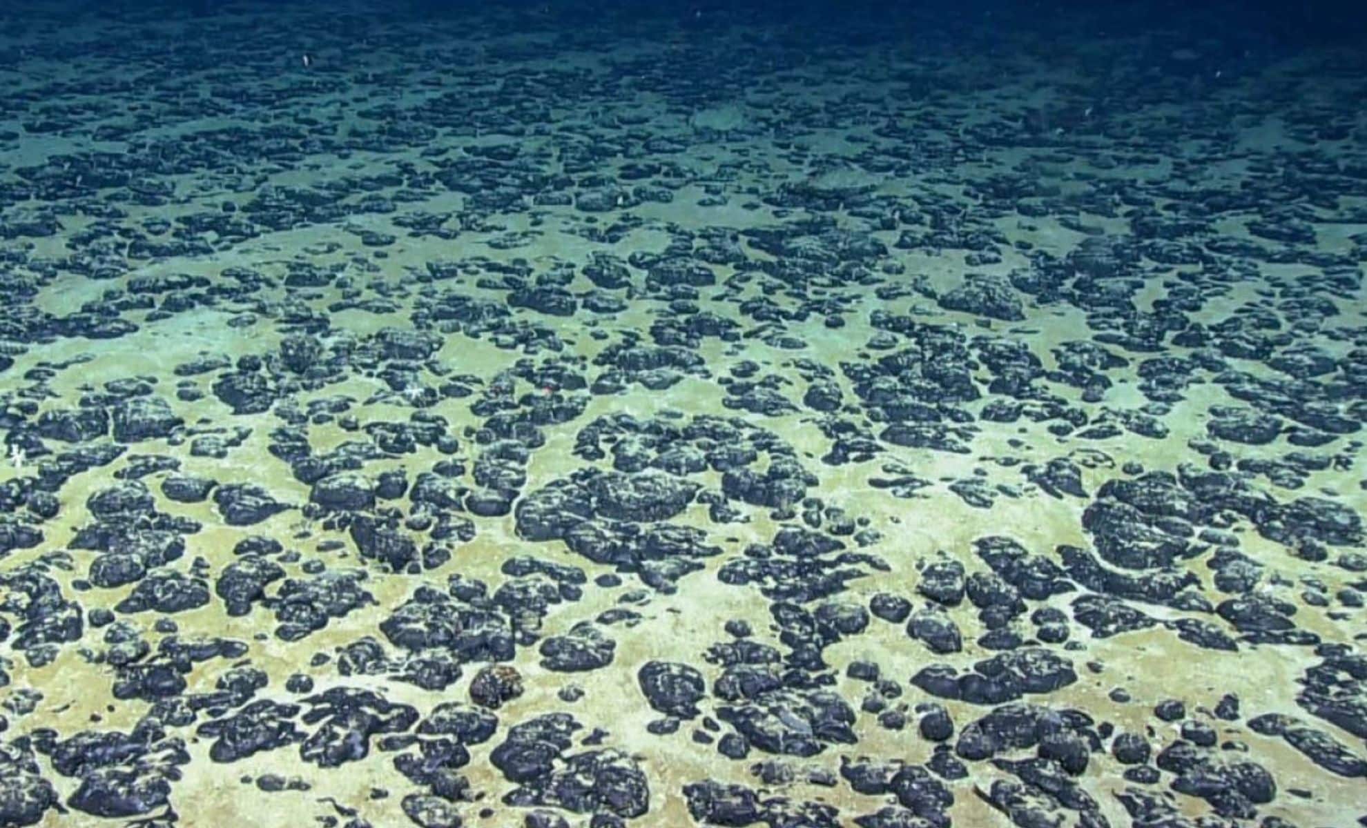 Comment on “It’s the New Underwater Gold Rush”: Metallic Potatoes on the Ocean Floor Are Suddenly Worth Billions—and The Race to Claim Them Has Begun by William Robson