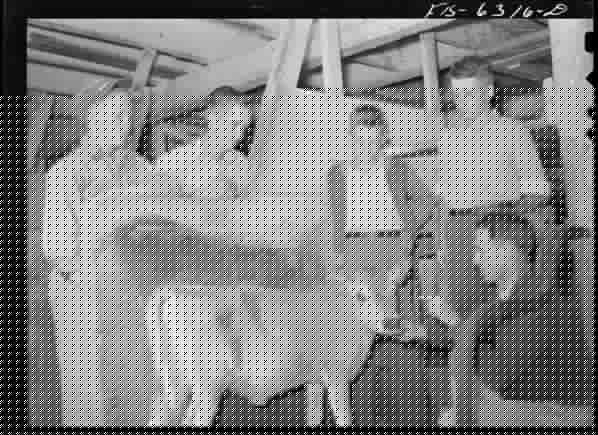 Caption this agricultural lesson [Caption]