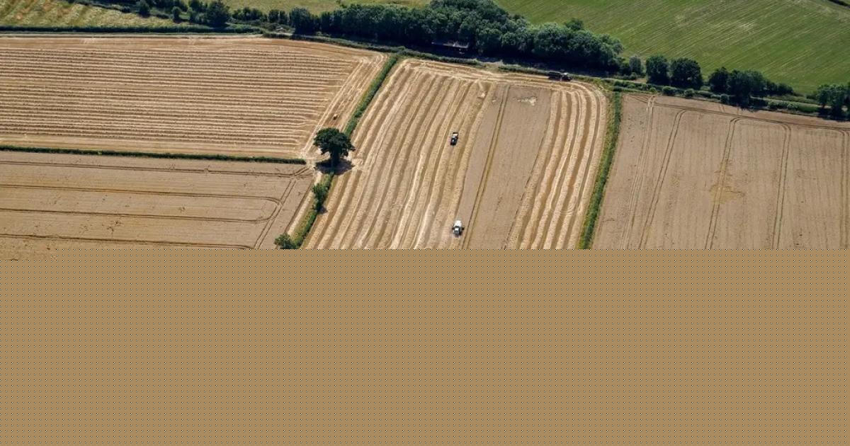 Oxfordshire officially in drought after hot dry summer and low rainfall
