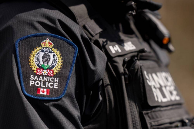 Saanich police seek victims of June egg-throwing incidents (BC)