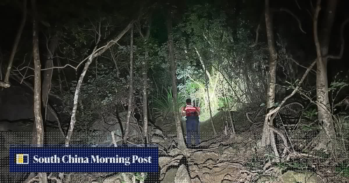 Elderly hiker found dead on Sha Tin mountain trail after 3-day search