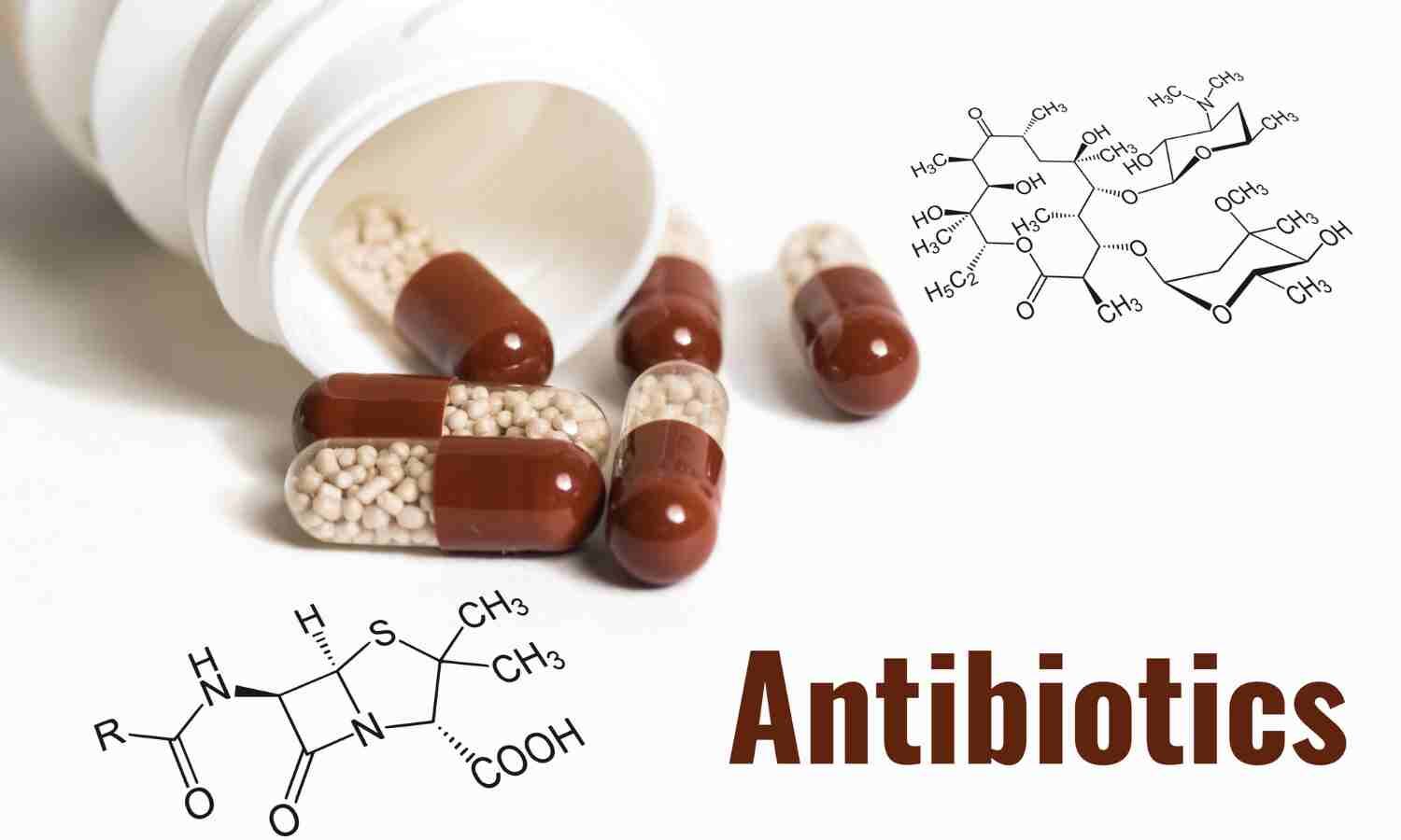 Climate Warming May Accelerate Global Spread of Antibiotic Resistance, Study Finds