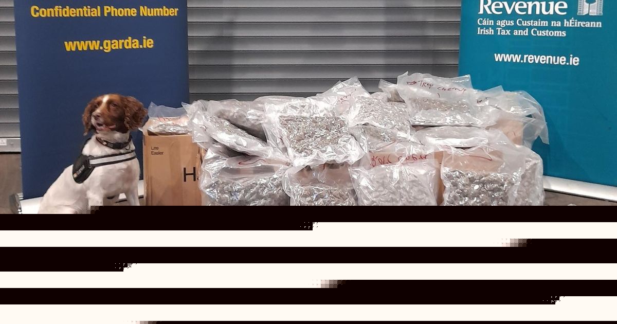 Man arrested as gardai and Revenue seize €380,000 of herbal cannabis in Dublin