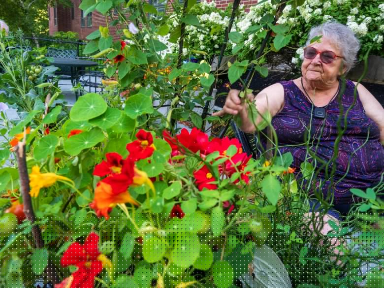 Flowers, renovations and family fun in central Maine focus of week in photos