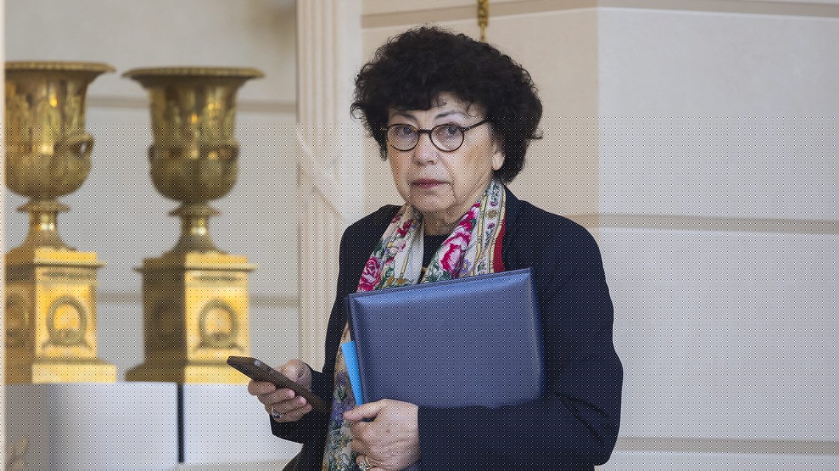 Incendies : "Madame Transat"... Monique Barbut au cœur d'une polémique après avoir suivi la crise en visioconférence depuis sa résidence du Var