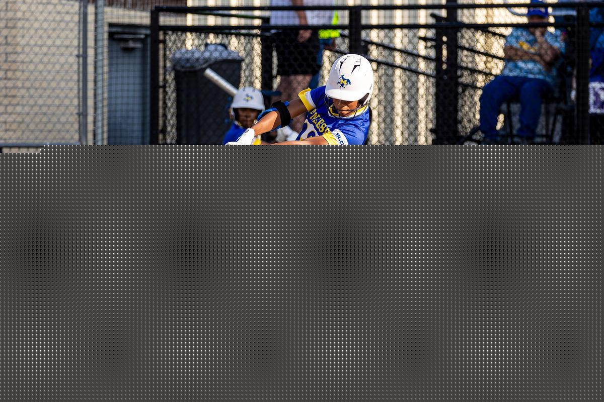 McNeese Softball Hosting Meet & Greet Event On Wednesday