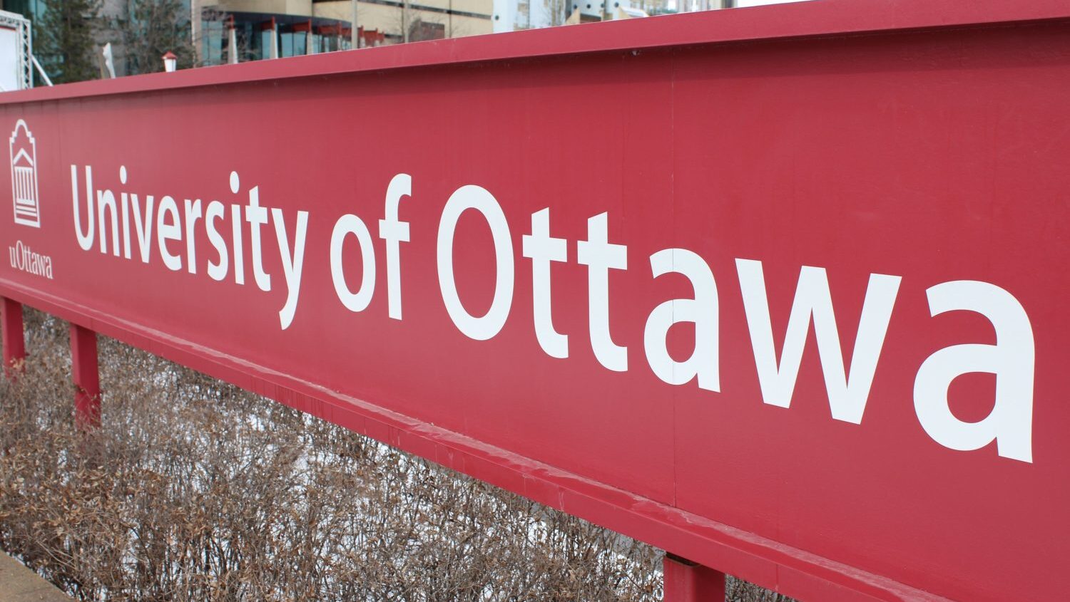 University of Ottawa research shows women impacted more by online rejection