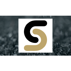 Traders Buy Large Volume of Sibanye Gold Call Options (NYSE:SBSW)