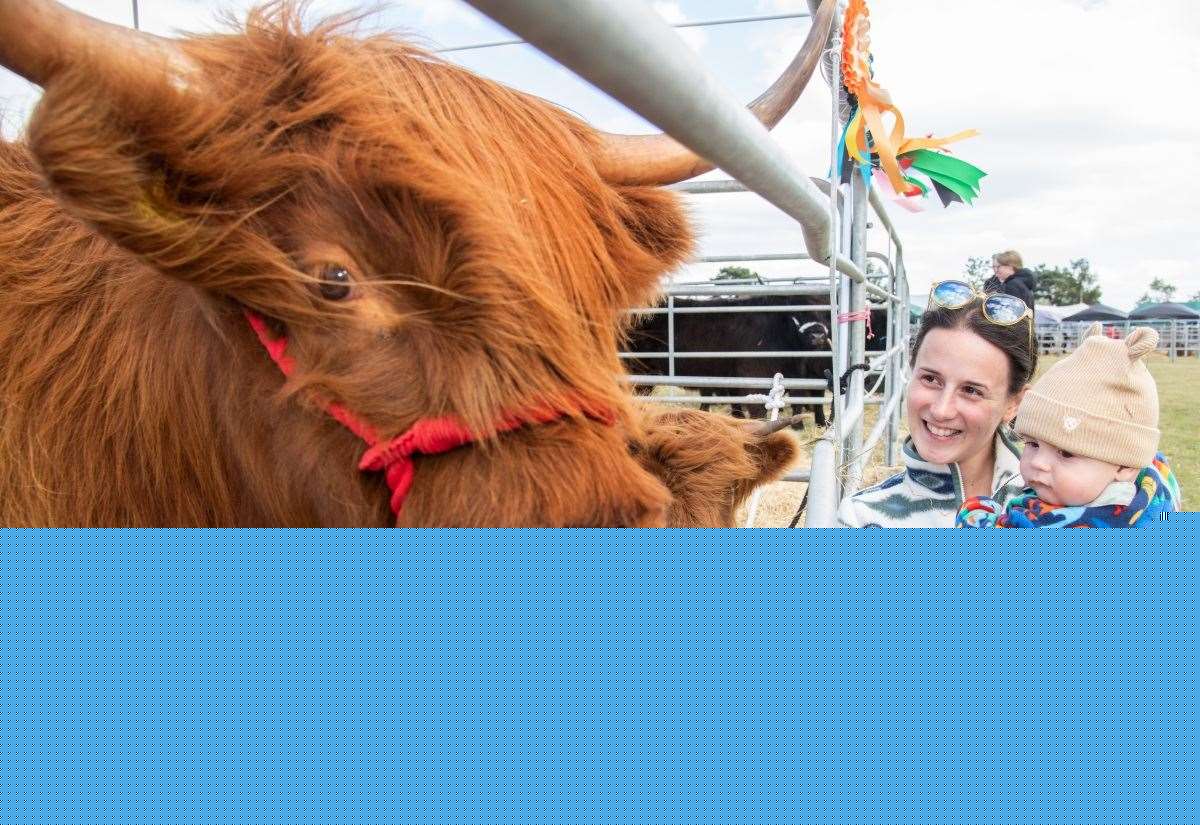 Scene set for two-day Black Isle Show 2026