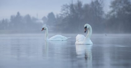 Österreich zweigeteilt - Wo am Wochenende die Sonne scheint und wo nicht