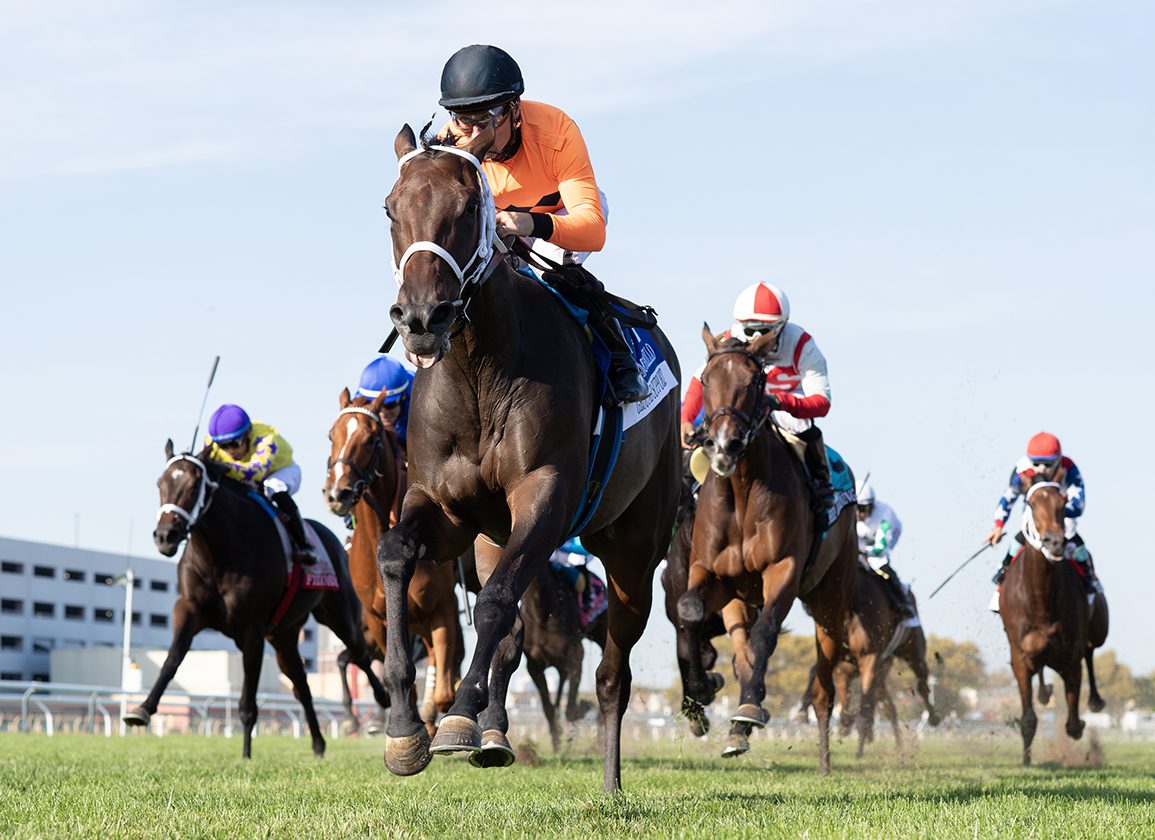 Army Mule’s Ground Support All the Way in ‘WAYI’ Miss Grillo