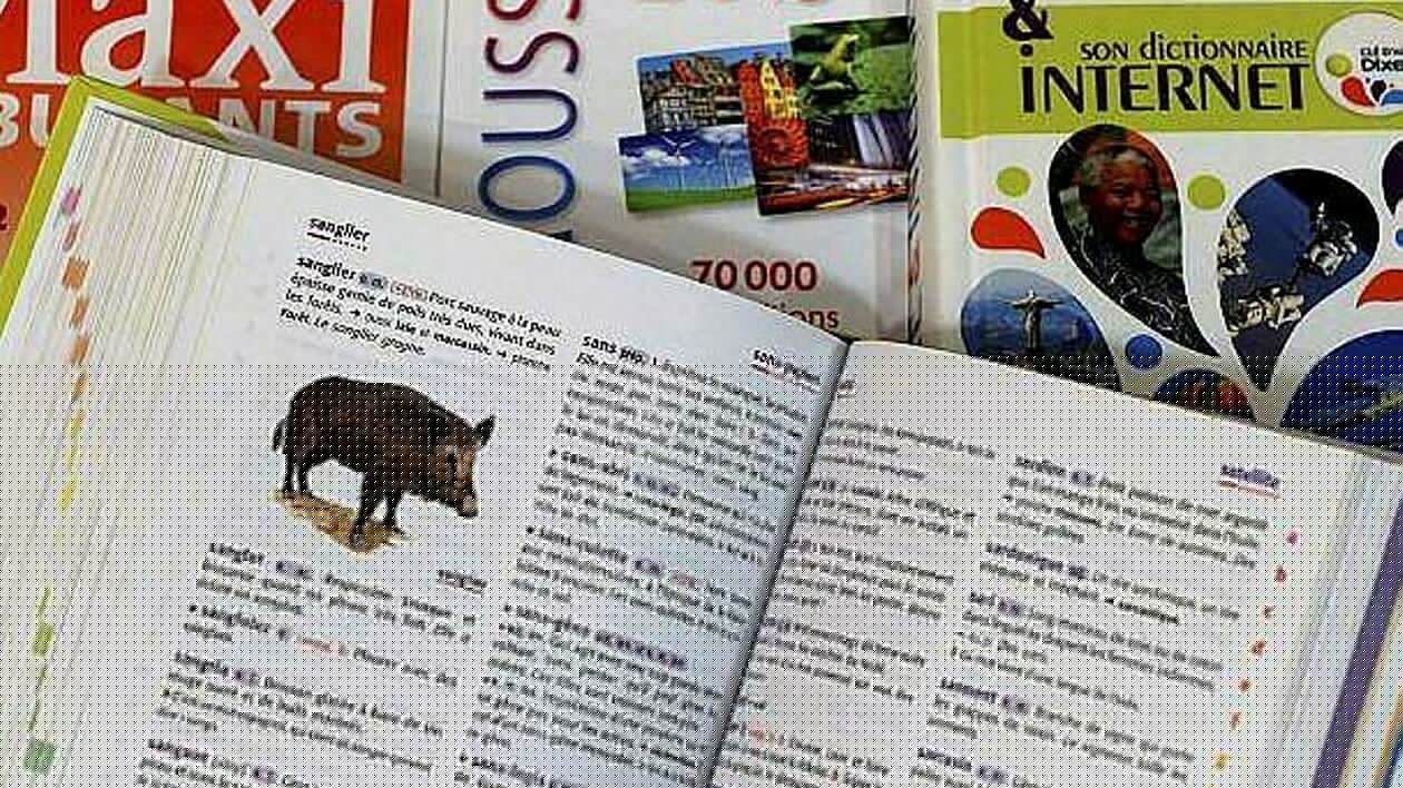 QUIZ. Saurez-vous répondre correctement à ces dix questions de langue française ?
