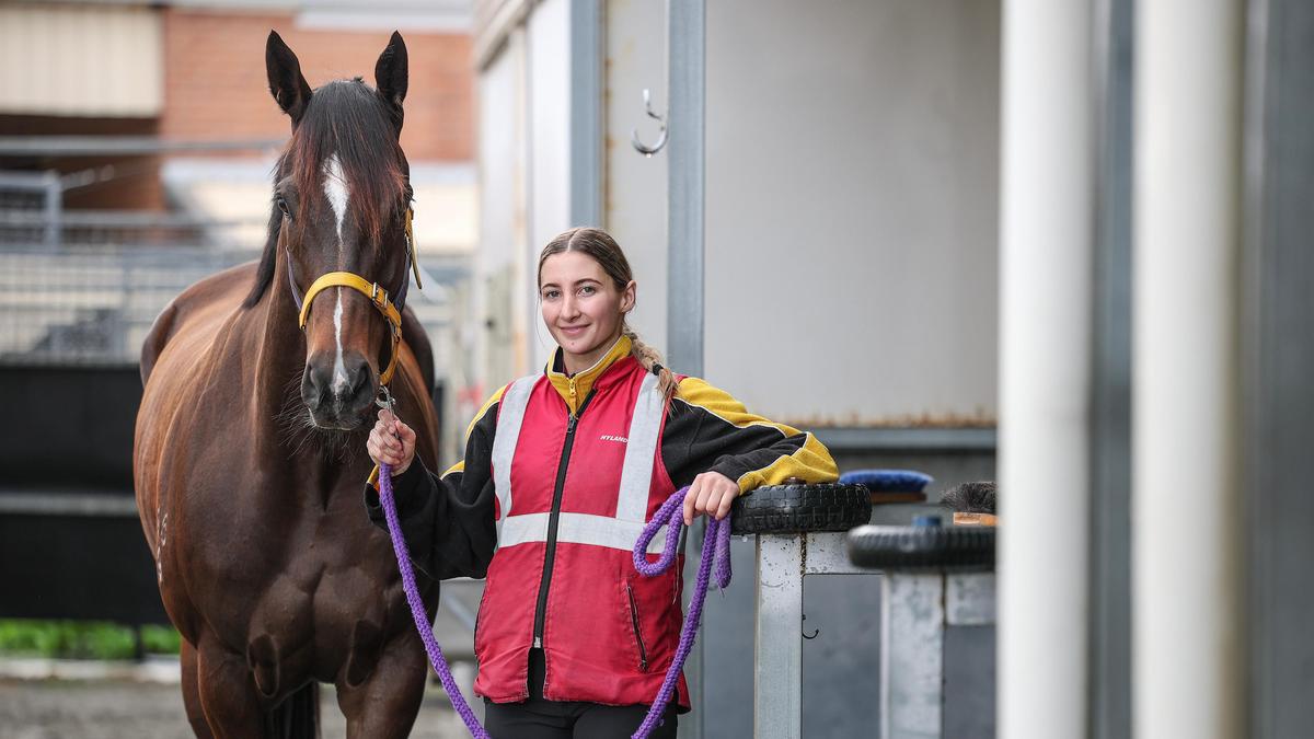 Holly Nottle: Young Australian jockey from Brookton making headlines as one of nations finest racing talents