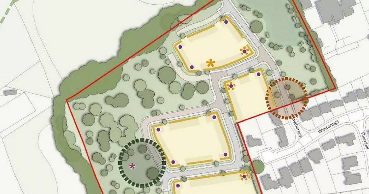 Plans to build 55 new homes on field next to Essex school set to be agreed