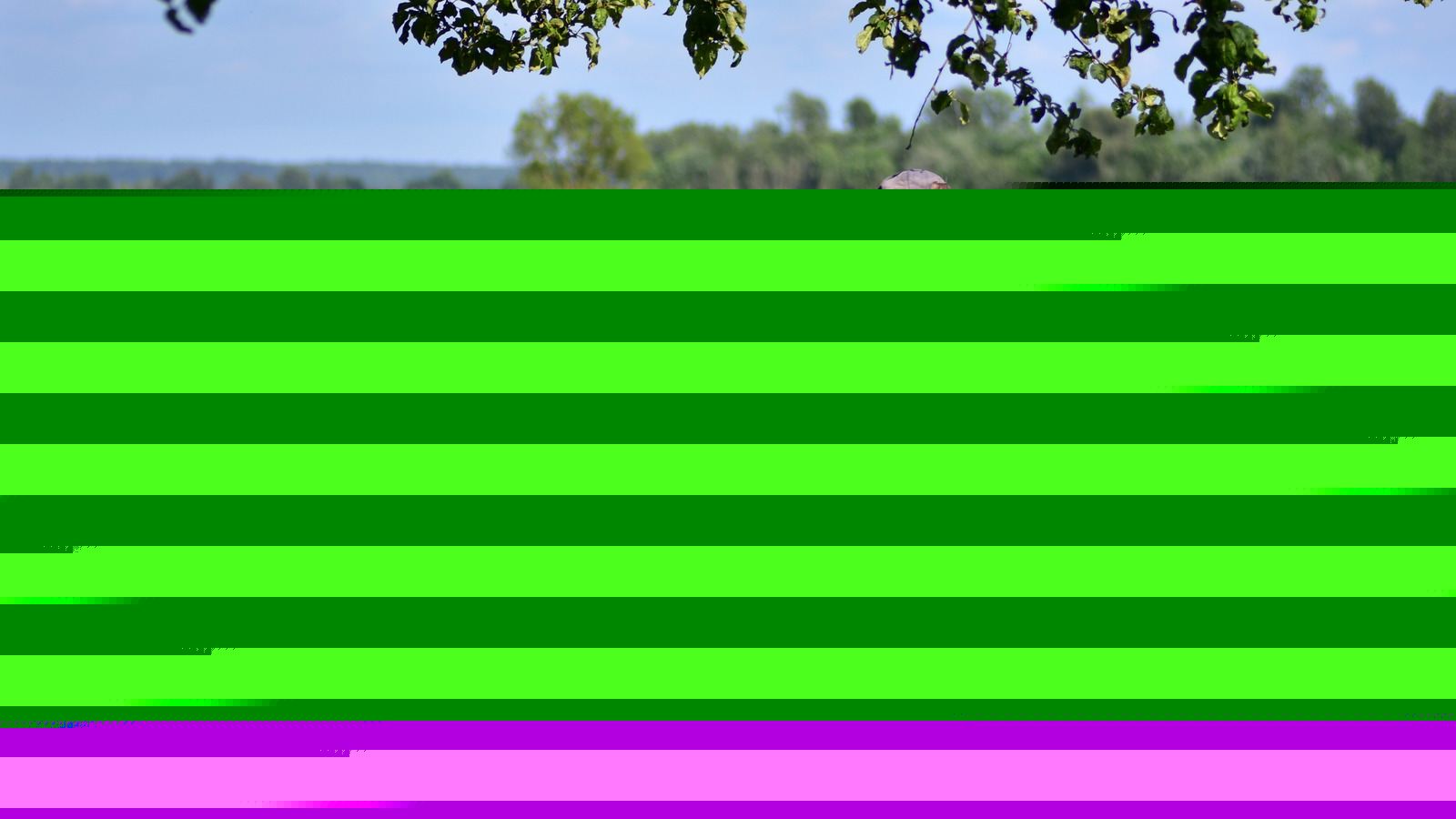 Bad Habits You Must Break If You Use A Riding Lawn Mower
