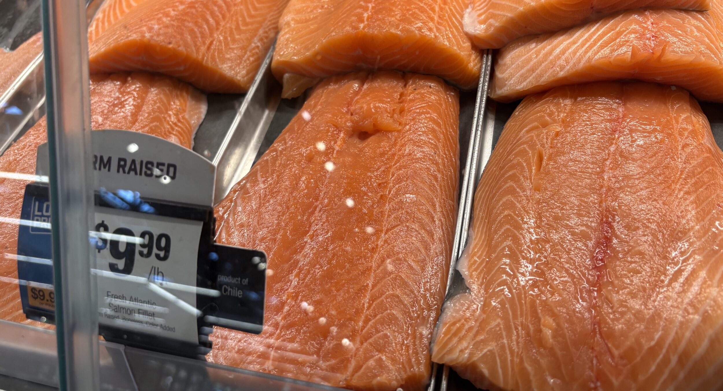 US wholesale: Farmed salmon prices reset unevenly as global trade flows reshape supply