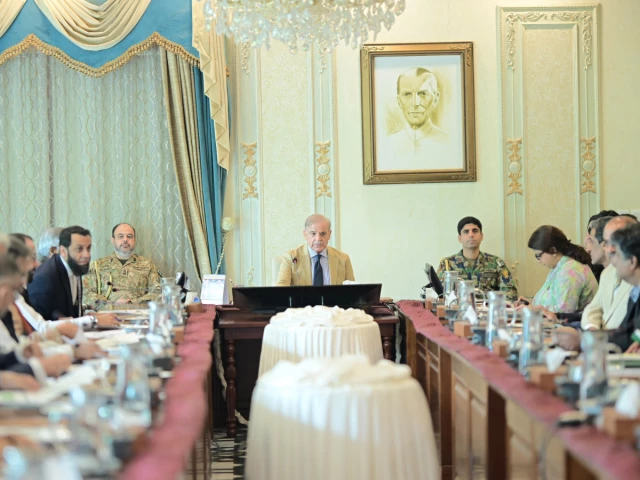 PM Shehbaz directs expansion of digital consular services for overseas Pakistanis