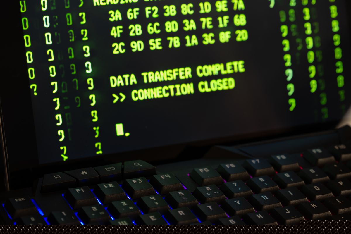 Department for Education Data Breach Explained: What To Do if Your Personal Information Was Compromised