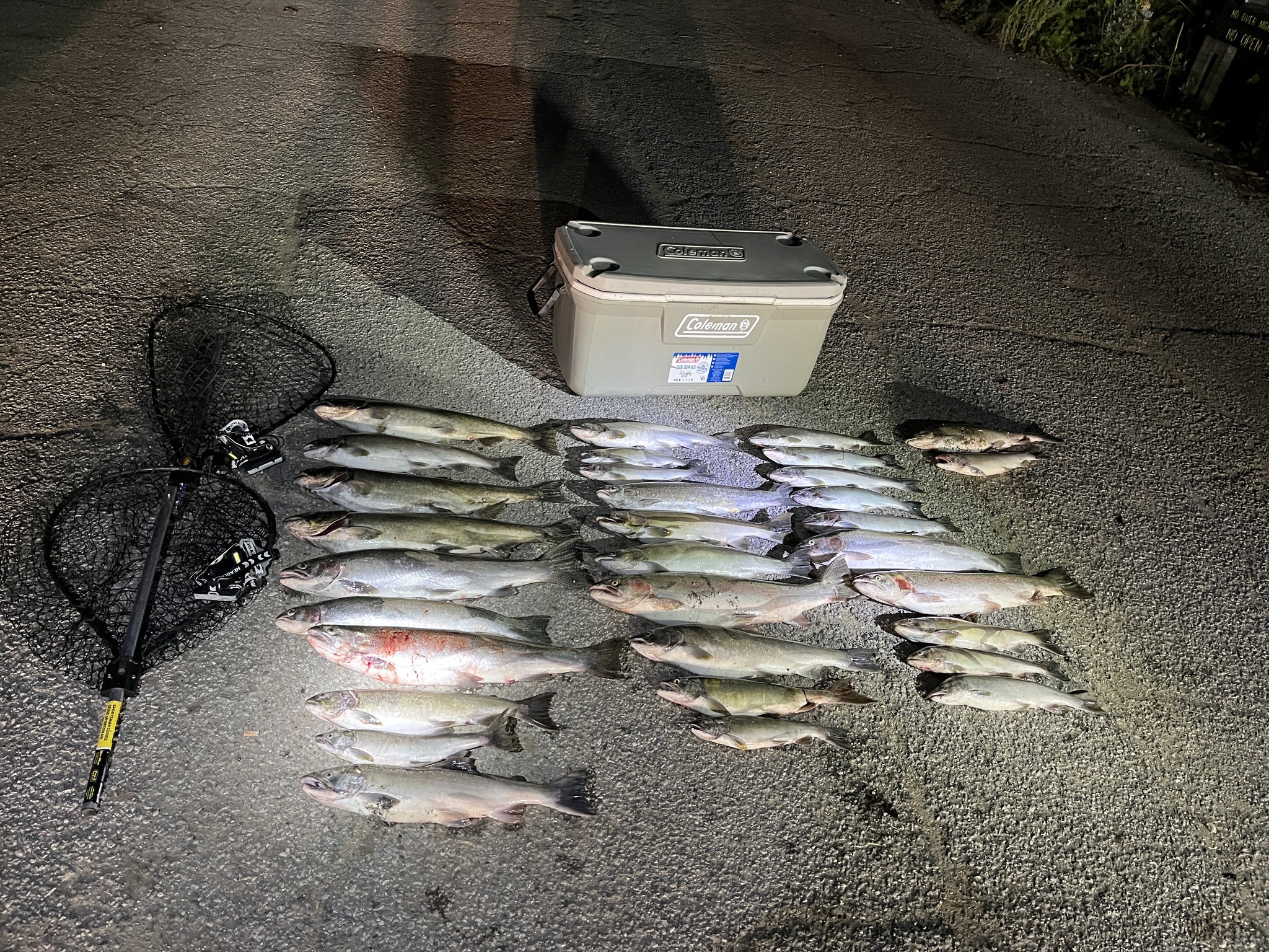 Three people facing charges after netting and taking over the limit of salmon from Trail Creek, DNR says