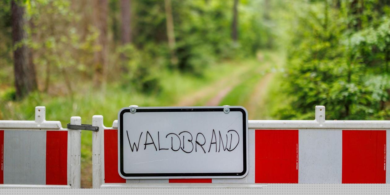 Hitzewelle wird heftiger: Hohe Waldbrandgefahr - Hier in Franken gilt die höchste Warnstufe