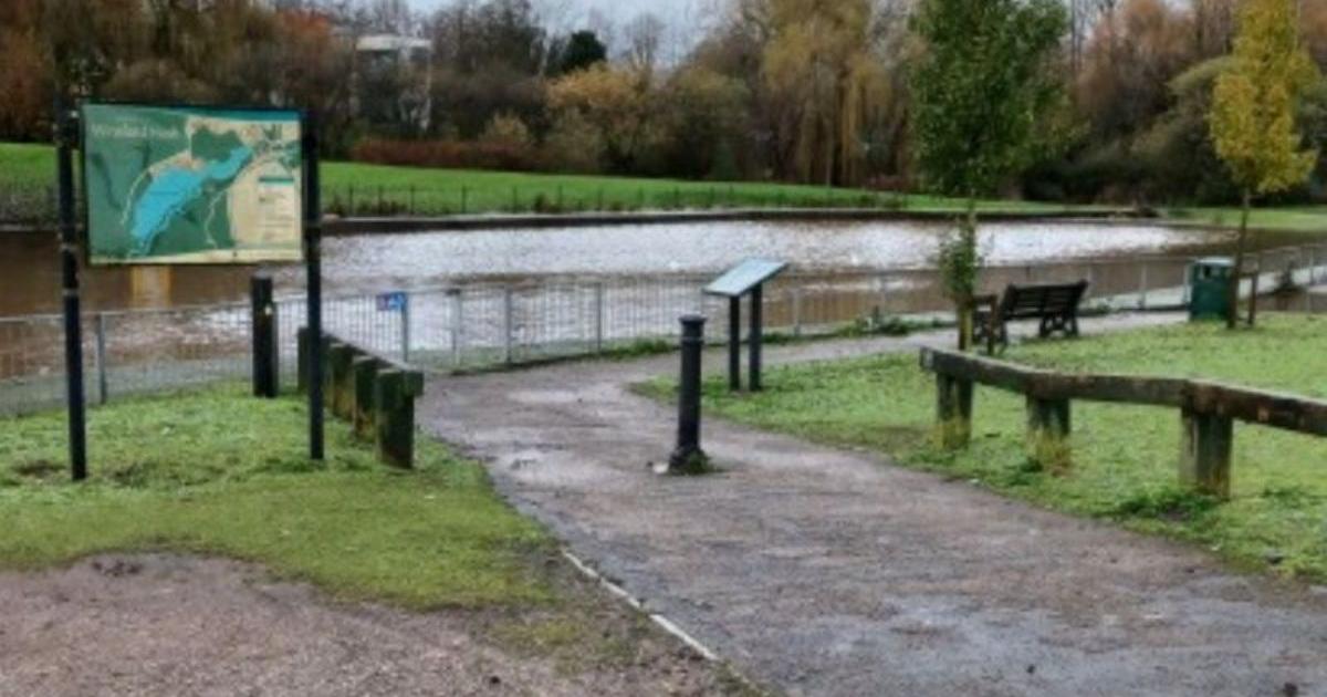 Charity reacts to reports of stolen swans as pictures recirculate