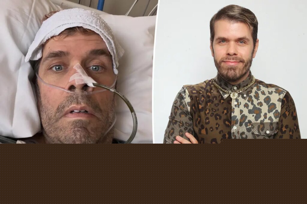 Perez Hilton’s first words from hospital bed after ‘suicide attempt’ revealed: report