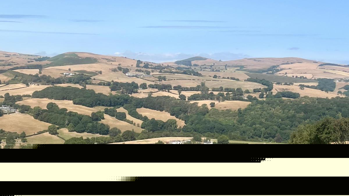 Wildfires and record dry conditions trigger drought in parts of Wales
