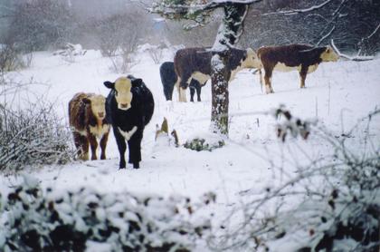A reminder: Stay safe in winter weather