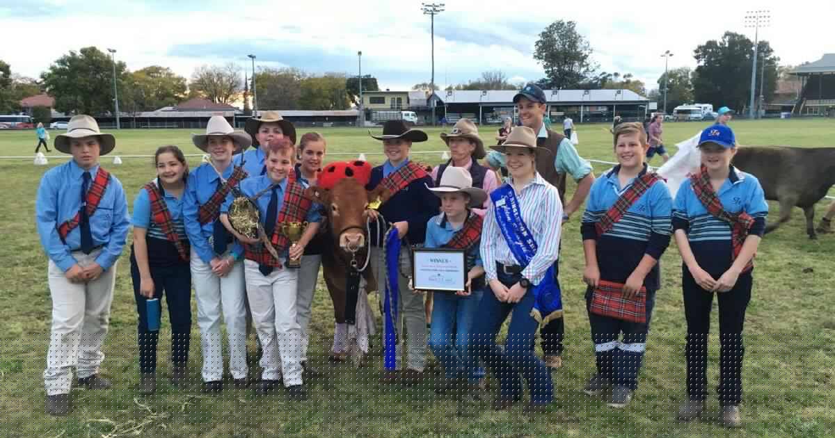 Four decades of farming futures: Singleton Beef and Land Management: Photos